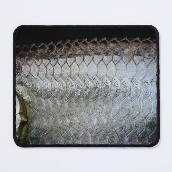 Item preview, Tarpon Scales designed and sold by jonesing.