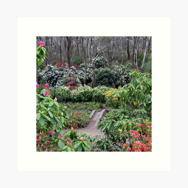Item preview, Campbell Rhododendron Gardens designed and sold by Geoff Smith.