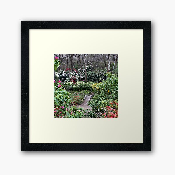 Item preview, Campbell Rhododendron Gardens designed and sold by Geoff Smith.