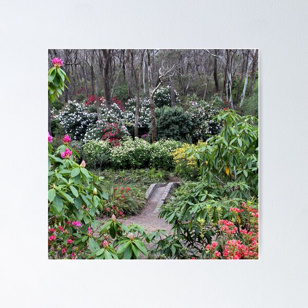 Item preview, Campbell Rhododendron Gardens designed and sold by Geoff Smith.