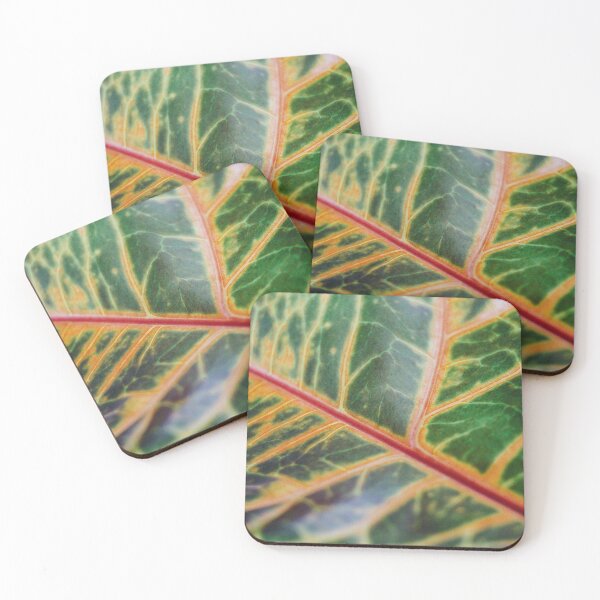 Item preview, Codiaeum leaf close-up designed and sold by anstey.
