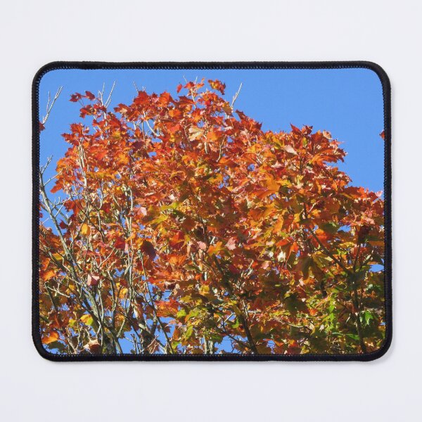 Item preview, Autumn Treetop 2 designed and sold by lezvee.