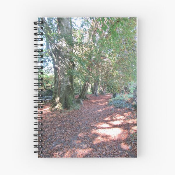 Item preview, The Path By The River - Autumn designed and sold by lezvee.