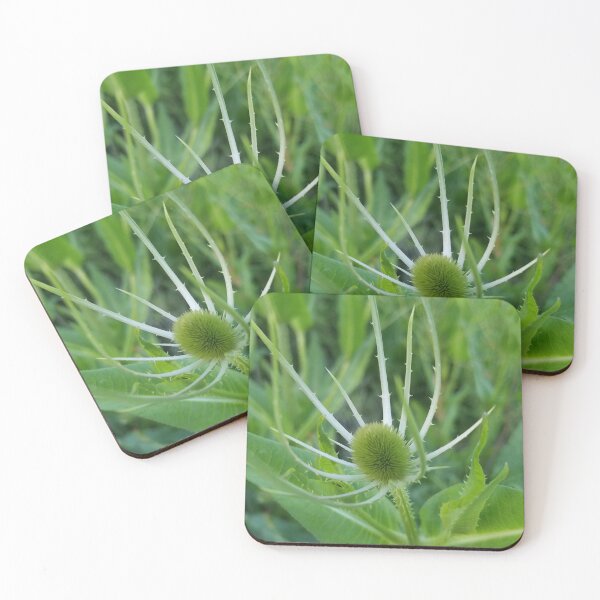 Item preview, Prickly Situation designed and sold by Rebecca Jane.