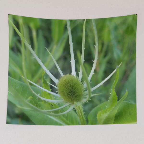 Item preview, Prickly Situation designed and sold by Rebecca Jane.