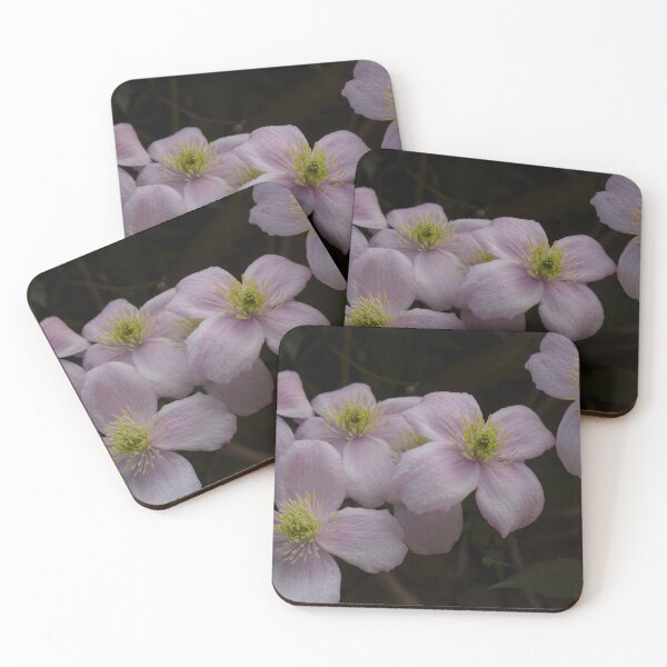 Item preview, Pink Clematis designed and sold by KathyChung.