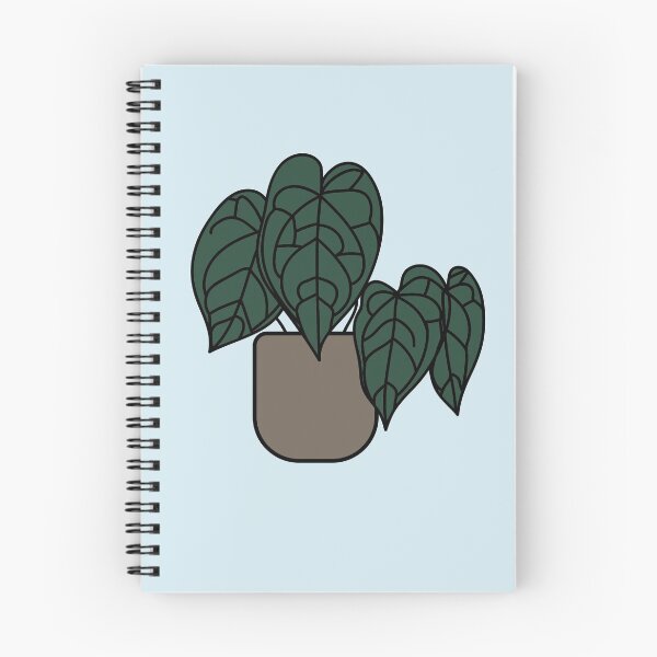 Item preview, Anthurium crystallinum plant designed and sold by abigailsommer1.