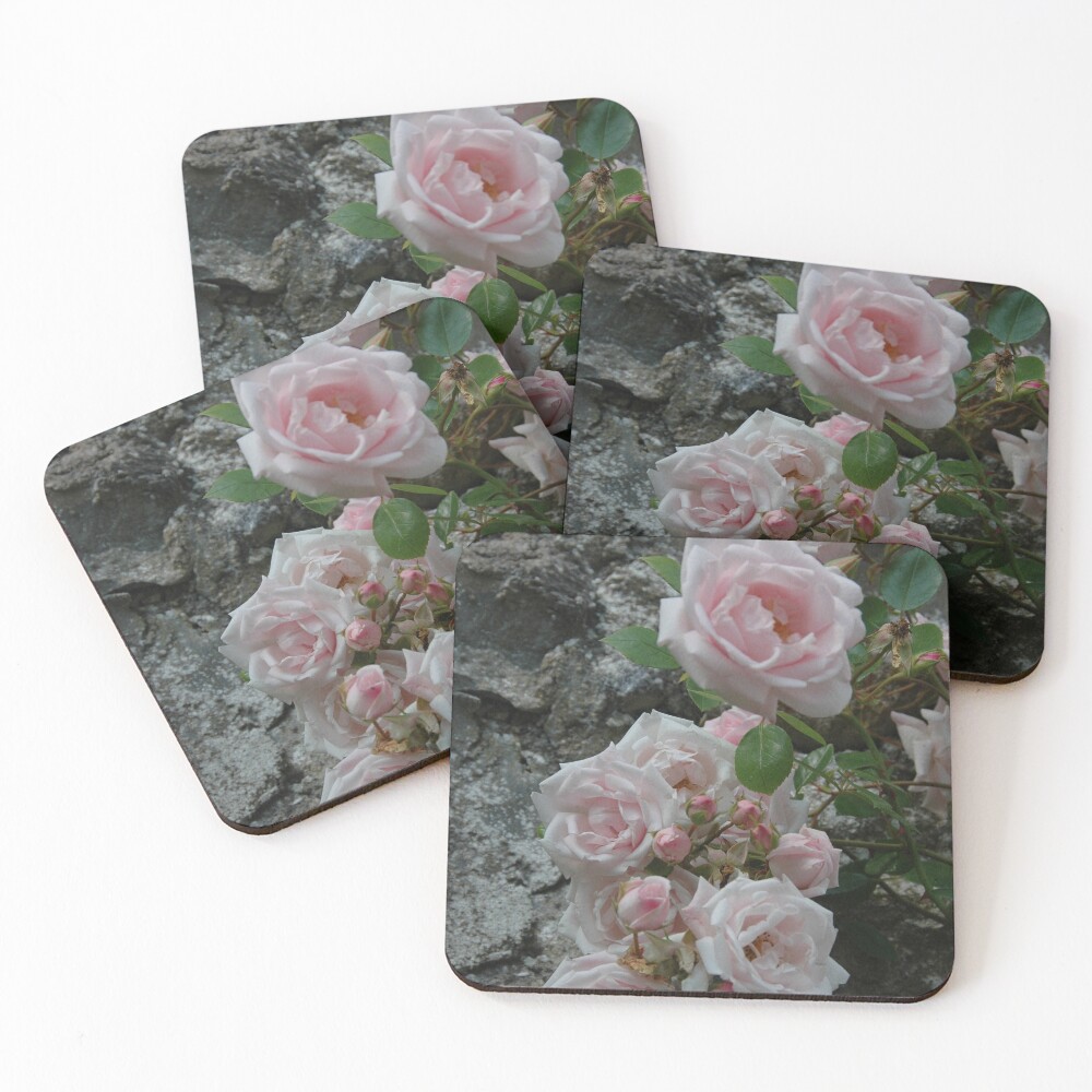 Item preview, Coasters (Set of 4) designed and sold by KathyChung.