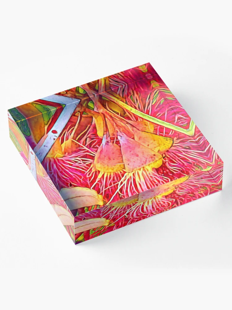 Thumbnail 4 of 5, Acrylic Block, Orange Gums designed and sold by RandaRubyRed.