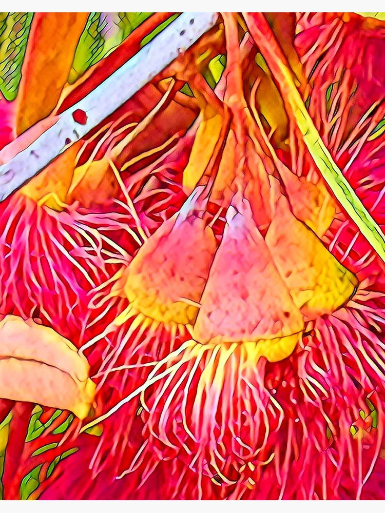 Thumbnail 2 of 2, Art Board Print, Orange Gums designed and sold by RandaRubyRed.