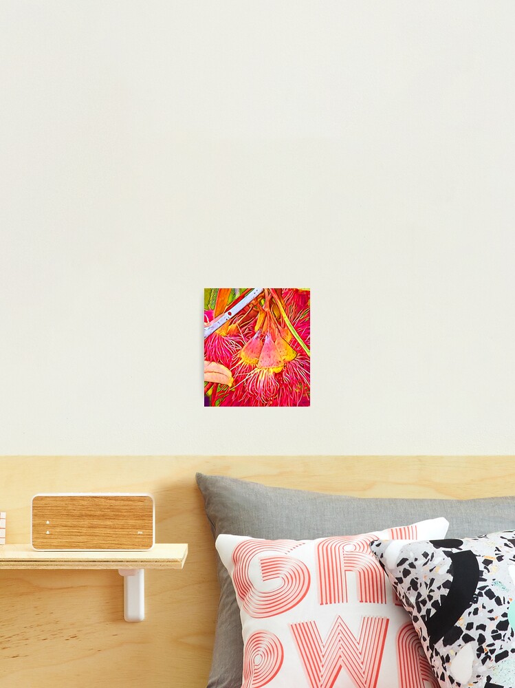 Thumbnail 2 of 3, Photographic Print, Orange Gums designed and sold by RandaRubyRed.
