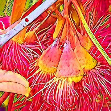 Artwork thumbnail, Orange Gums by RandaRubyRed