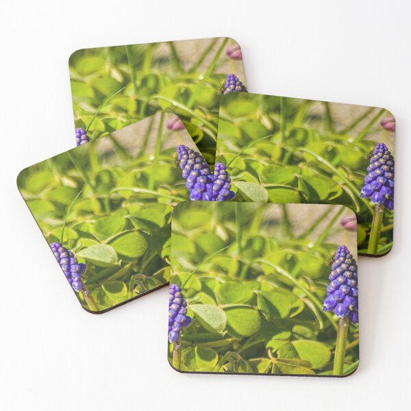 Item preview, elb muscari designed and sold by pcfyi.