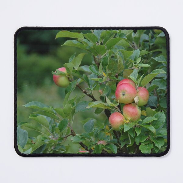 Item preview, Apple Tree designed and sold by KathyChung.