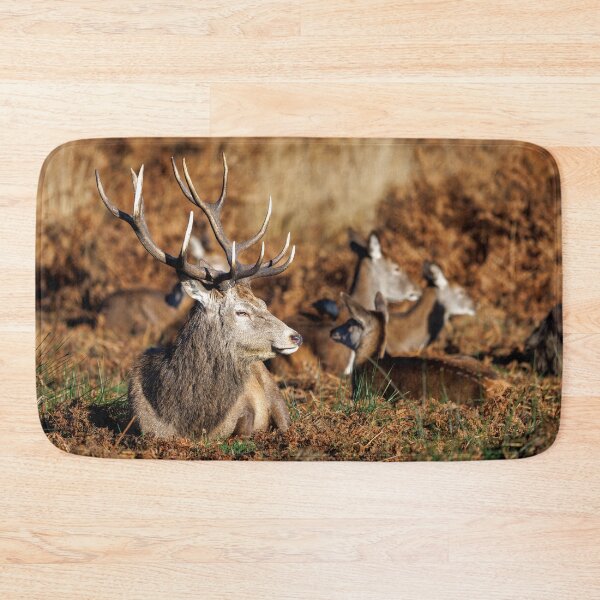 Item preview, Red Deer Stag in Richmond Park designed and sold by Graham Prentice.