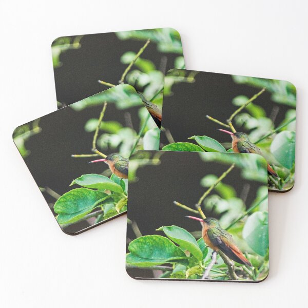 Item preview, elb hummingbird designed and sold by pcfyi.