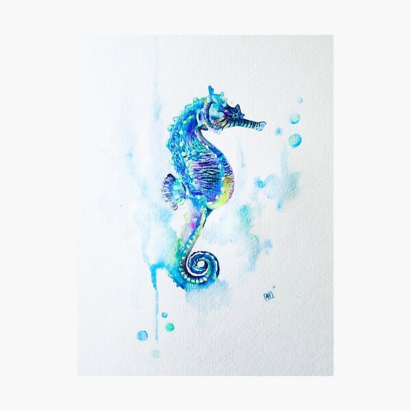 Watercolor Seahorse Photographic Print
