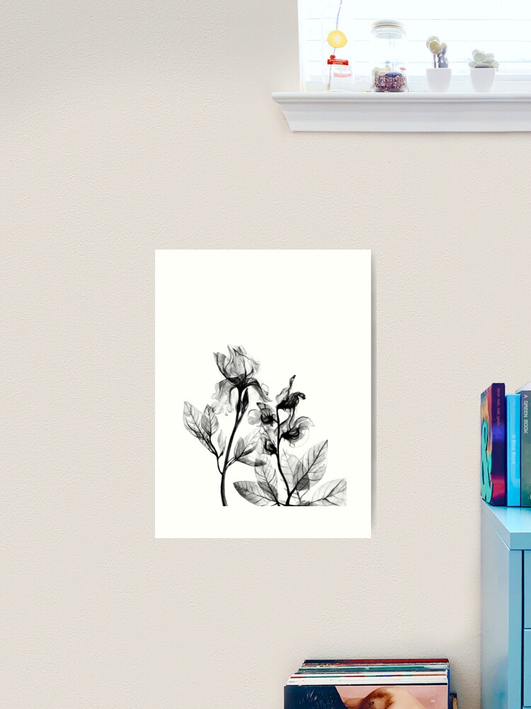 Art | Sale Print for Frank Redbubble X-Ray by Flowers\