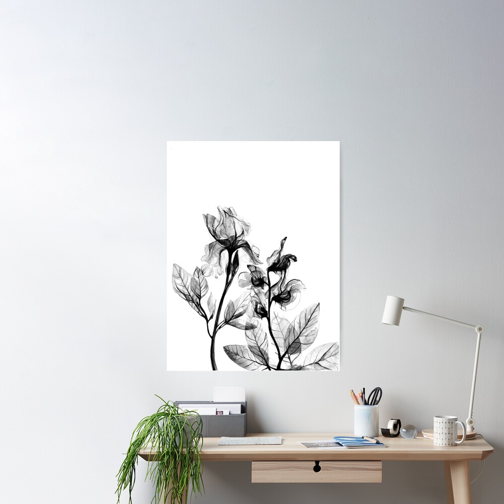 Poster Redbubble Frank | Flowers\