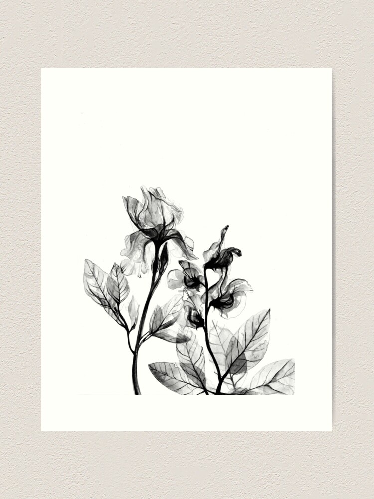 Sale Frank Print | Flowers\