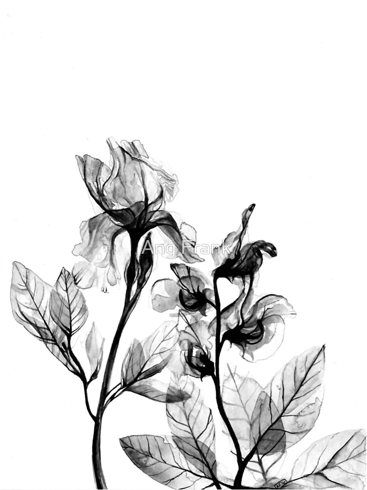 "XRay Flowers" Poster by AngFrank Redbubble