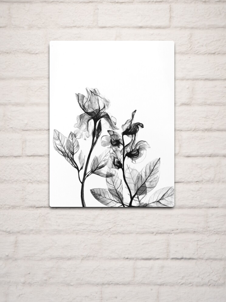 X-Ray Print Redbubble Metal Sale by for | Ang Frank Flowers\