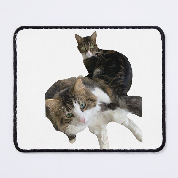 Item preview, koda and suri, the cutest cats designed and sold by Lanie B Meyer.