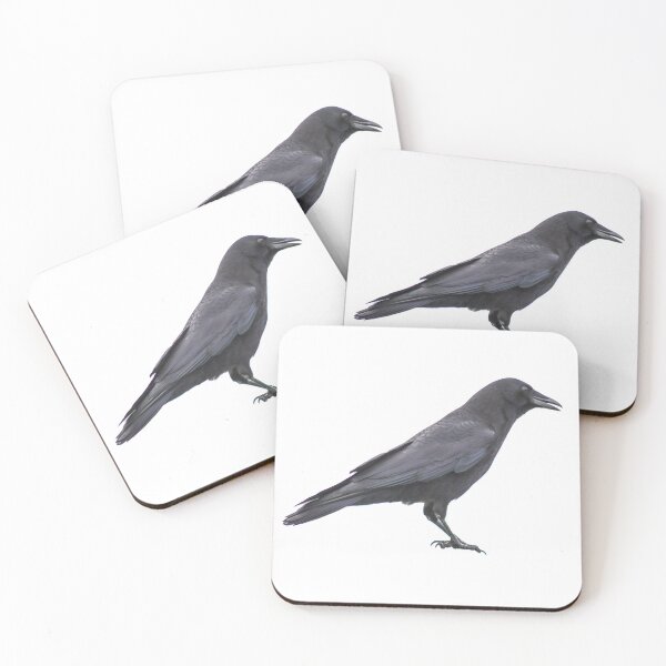 Item preview, Black Crow perched designed and sold by lisakayfotos.