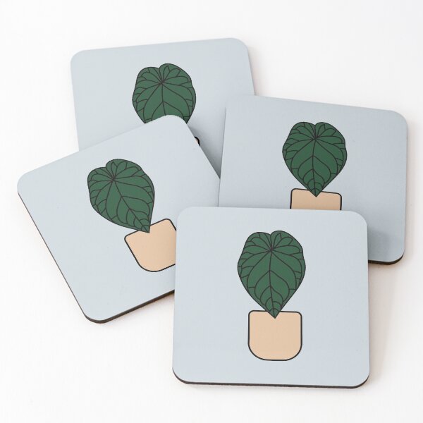 Item preview, Anthurium magnificum plant designed and sold by abigailsommer1.