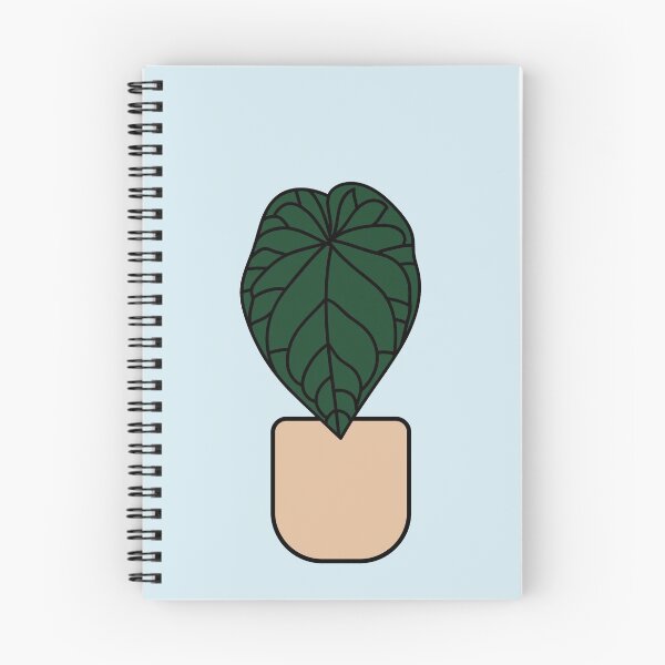 Item preview, Anthurium magnificum plant designed and sold by abigailsommer1.