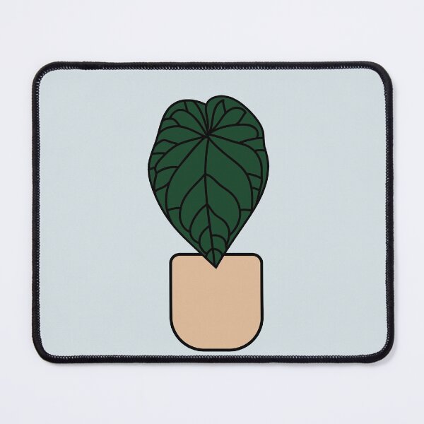 Item preview, Anthurium magnificum plant designed and sold by abigailsommer1.