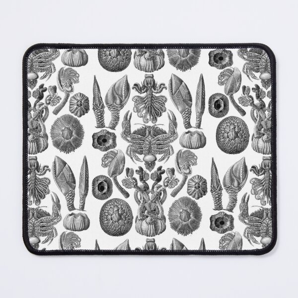 Item preview, Ernst Haeckel Cirripedia Barnacles Crabs designed and sold by aimeewilson.