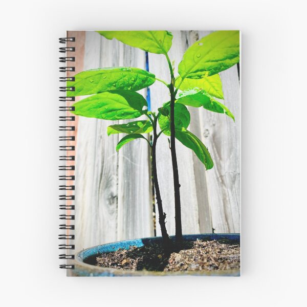 Item preview, Baby Tree designed and sold by UN-X-LD-Prints.