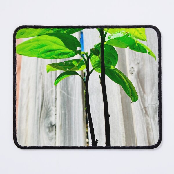 Item preview, Baby Tree designed and sold by UN-X-LD-Prints.