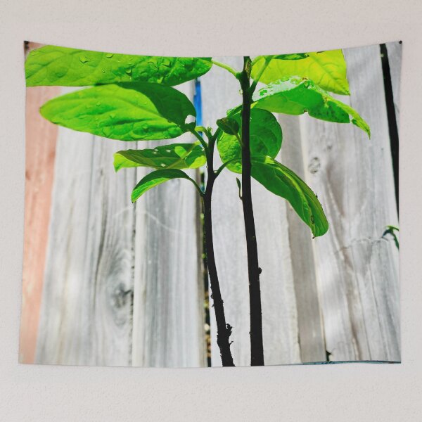 Item preview, Baby Tree designed and sold by UN-X-LD-Prints.