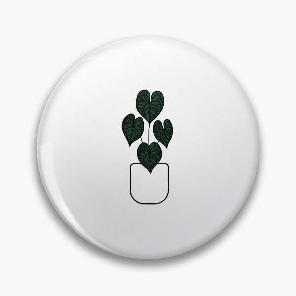 Item preview, Anthurium clarinervium plant  designed and sold by abigailsommer1.