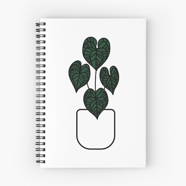 Item preview, Anthurium clarinervium plant  designed and sold by abigailsommer1.