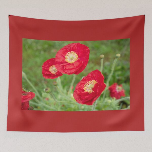 Item preview, Red Poppy Red designed and sold by Clare Colins.