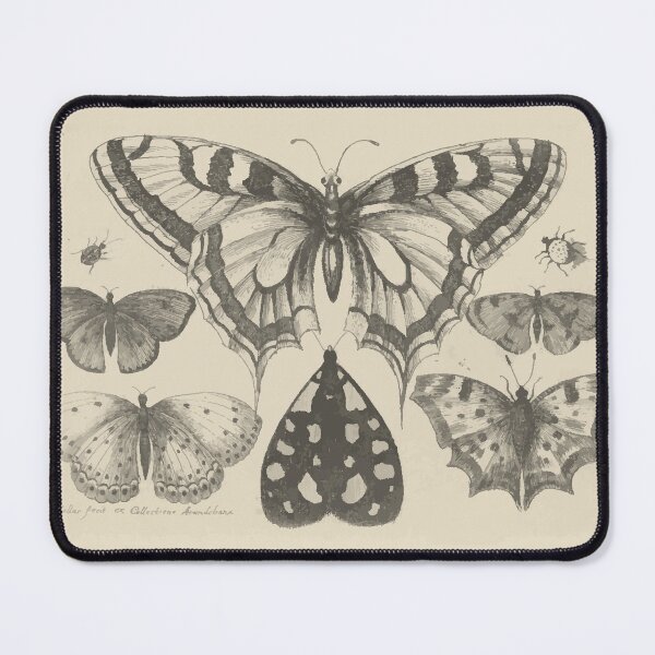 Item preview, Butterflies, Beetles and a Moth Vintage Illustration, 1600s Dutch Art designed and sold by PlentyEntities.