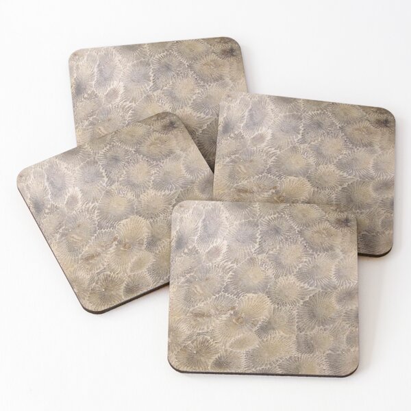 Item preview, Petoskey Stone Hexagonaria designed and sold by Pr0teusUnbound.