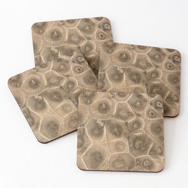 Item preview, Petoskey Stone Hexagonaria designed and sold by Pr0teusUnbound.