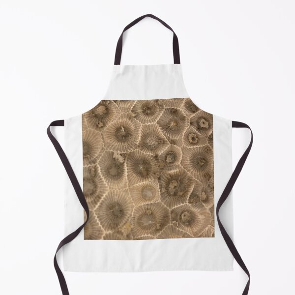 Item preview, Petoskey Stone Hexagonaria designed and sold by Pr0teusUnbound.