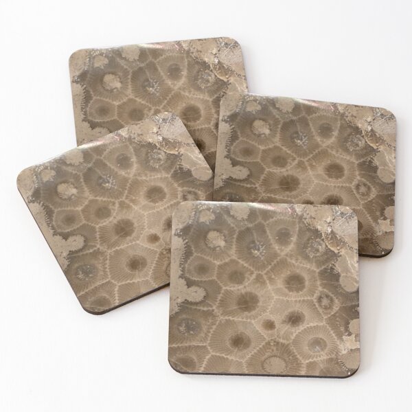 Item preview, Petoskey Stone Hexagonaria designed and sold by Pr0teusUnbound.