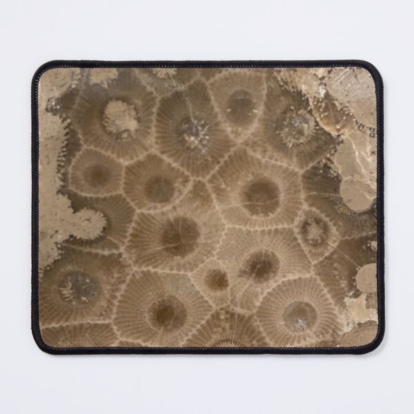 Item preview, Petoskey Stone Hexagonaria designed and sold by Pr0teusUnbound.