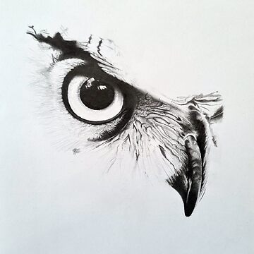 Artwork thumbnail, Owl Eye by NadynedeVel