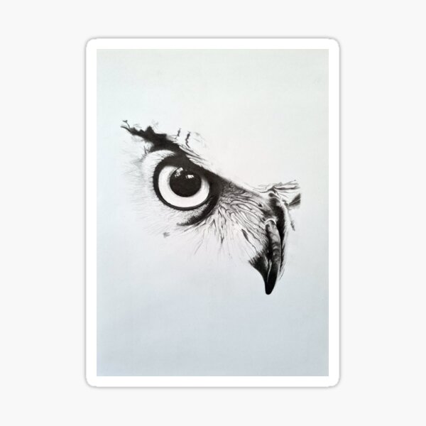 Owl Eyes Dark Over 2160 RoyaltyFree Licensable Stock Vectors  Vector  Art  Shutterstock