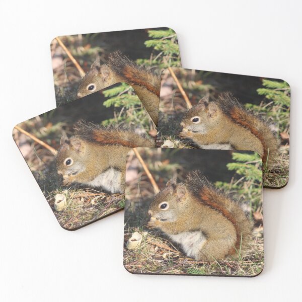 Item preview, Squirrel friend designed and sold by PhyllisG-Art.