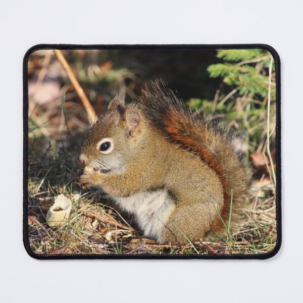 Item preview, Squirrel friend designed and sold by PhyllisG-Art.