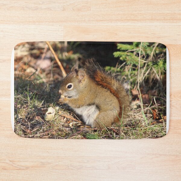 Item preview, Squirrel friend designed and sold by PhyllisG-Art.