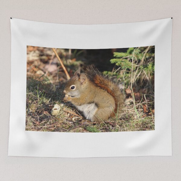 Item preview, Squirrel friend designed and sold by PhyllisG-Art.